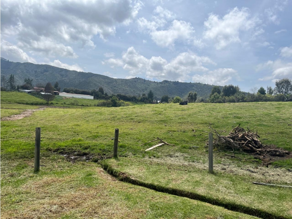 Lote Campestre Tenjo Condominio Puente Piedra - 4