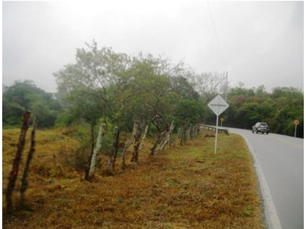 Se vende lote Curiti Santander - 4