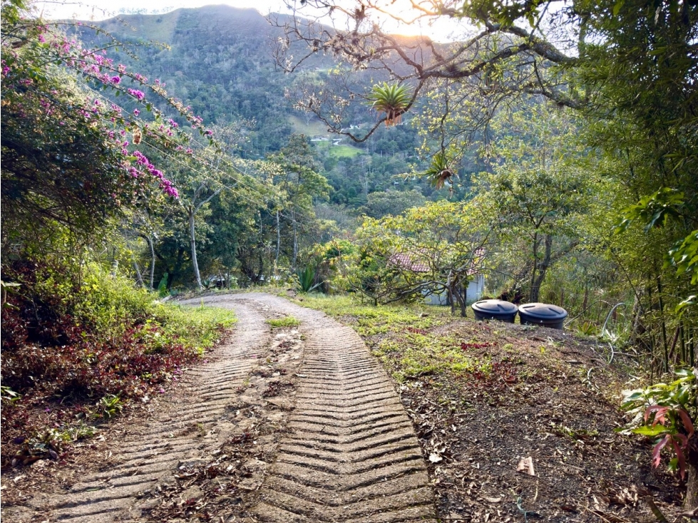 Finca en Venta en Guayabal de Siquíma a pocos km de Facatativá. - 5