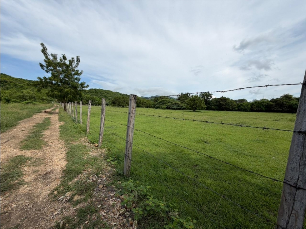 Lote Palmarcito, Girardot, Vereda Guabinal para venta - 5