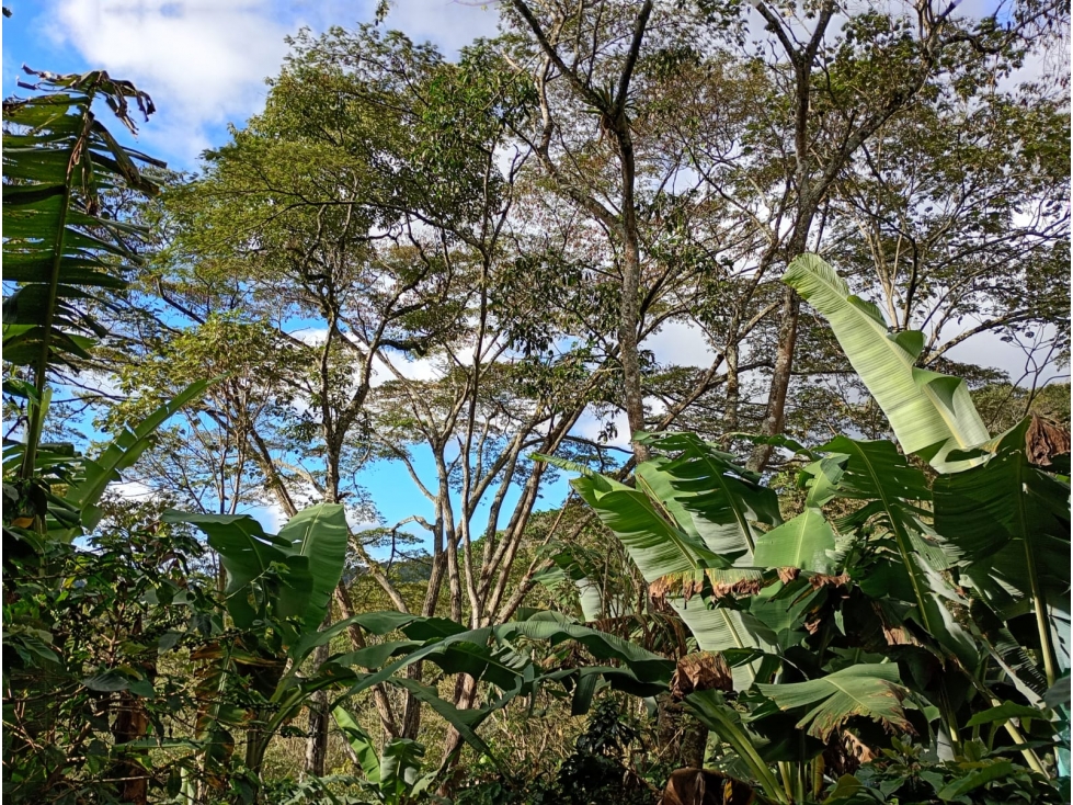 Finca en Venta en Guayabal de Siquíma a pocos km de Facatativá. - 6