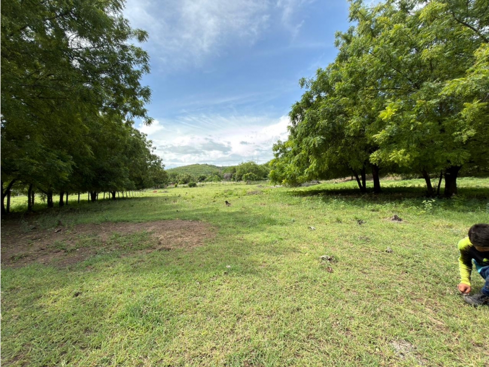 Lote Palmarcito, Girardot, Vereda Guabinal para venta - 2