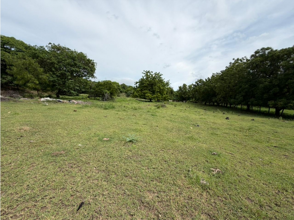 Lote Palmarcito, Girardot, Vereda Guabinal para venta - 3