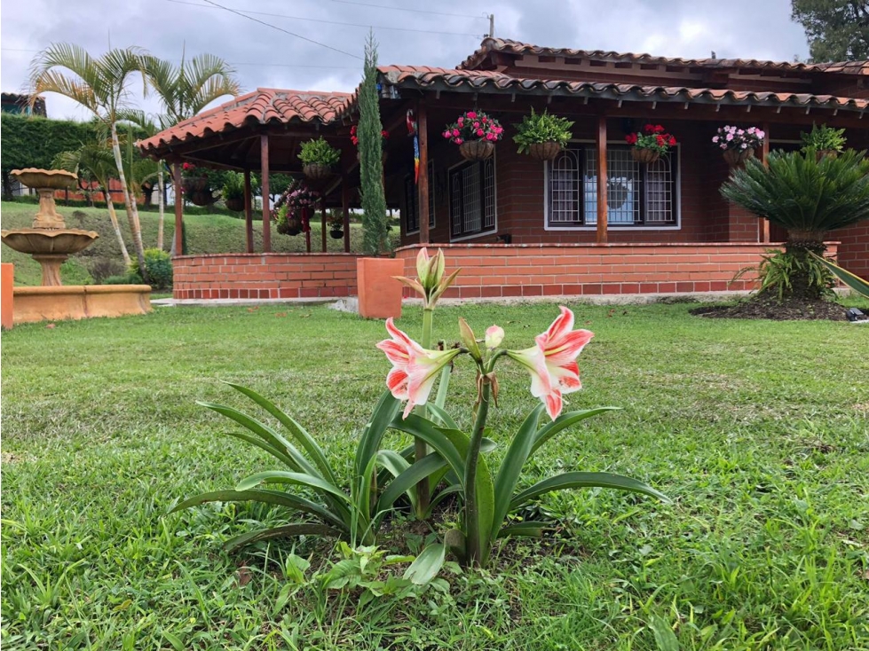 Venta Finca Vereda Las Hojas, Rionegro, Antioquia