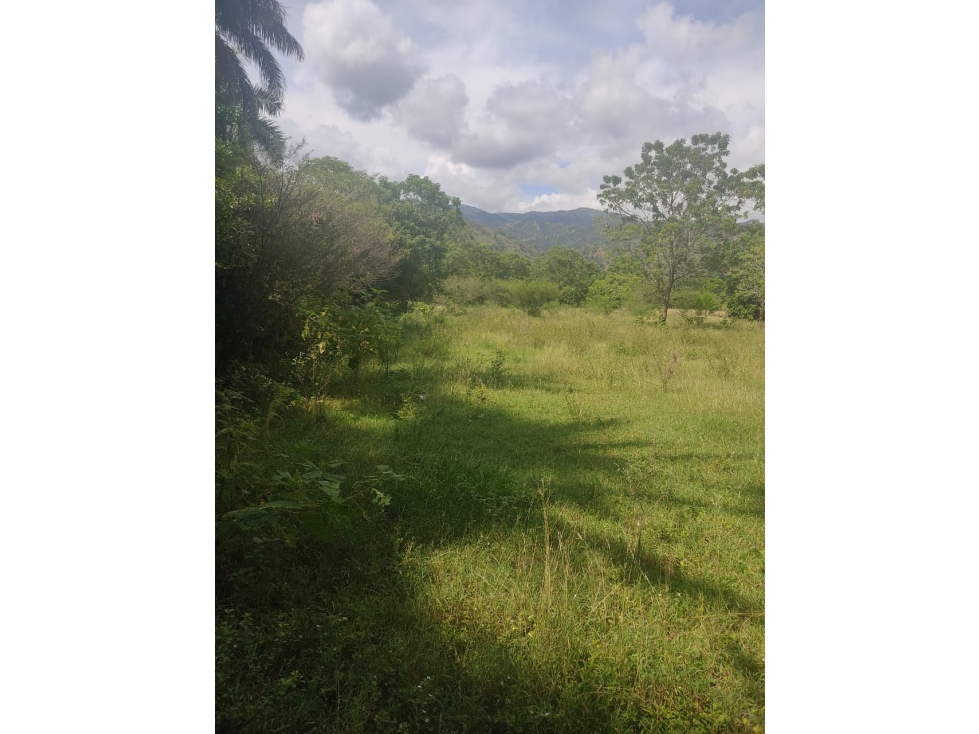 Venta Lotes Santa Fe de Antioquia - 5