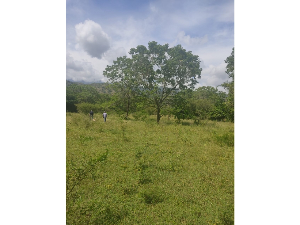 Venta Lotes Santa Fe de Antioquia - 4