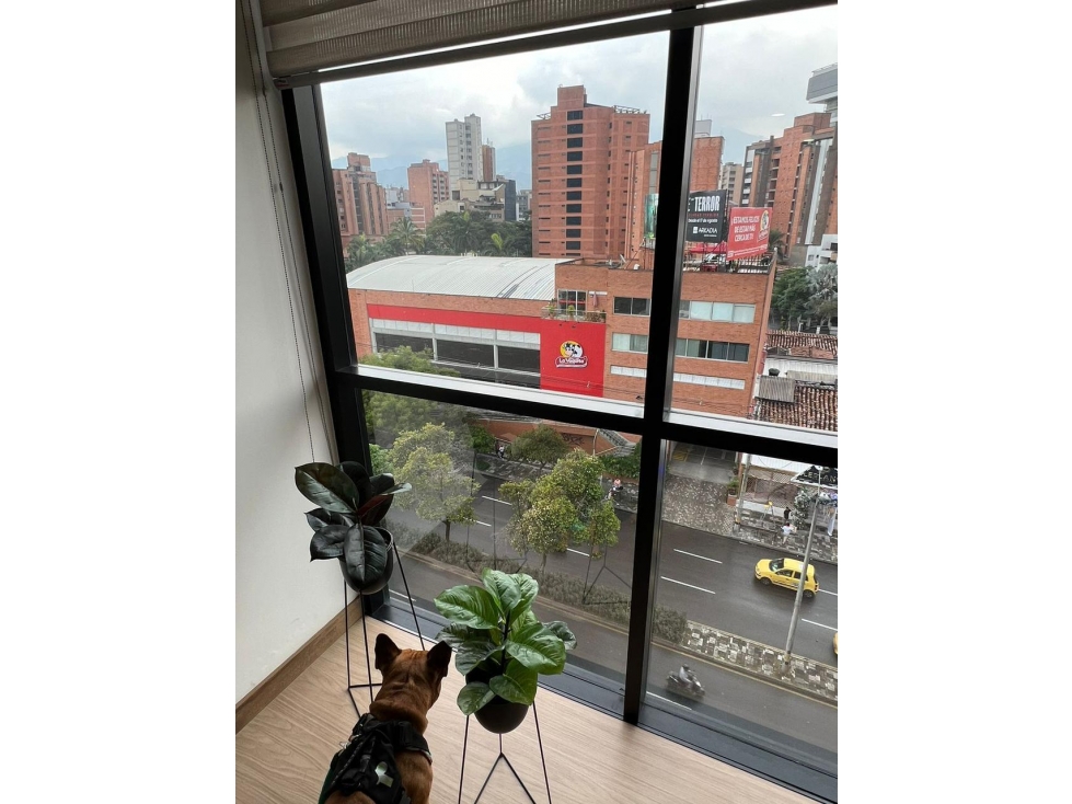 Venta Apartaestudio Laureles — foto 6