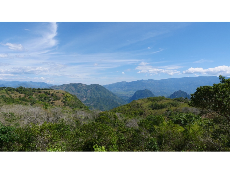 Venta finca en Santa Barbara, Antioquia — foto 5