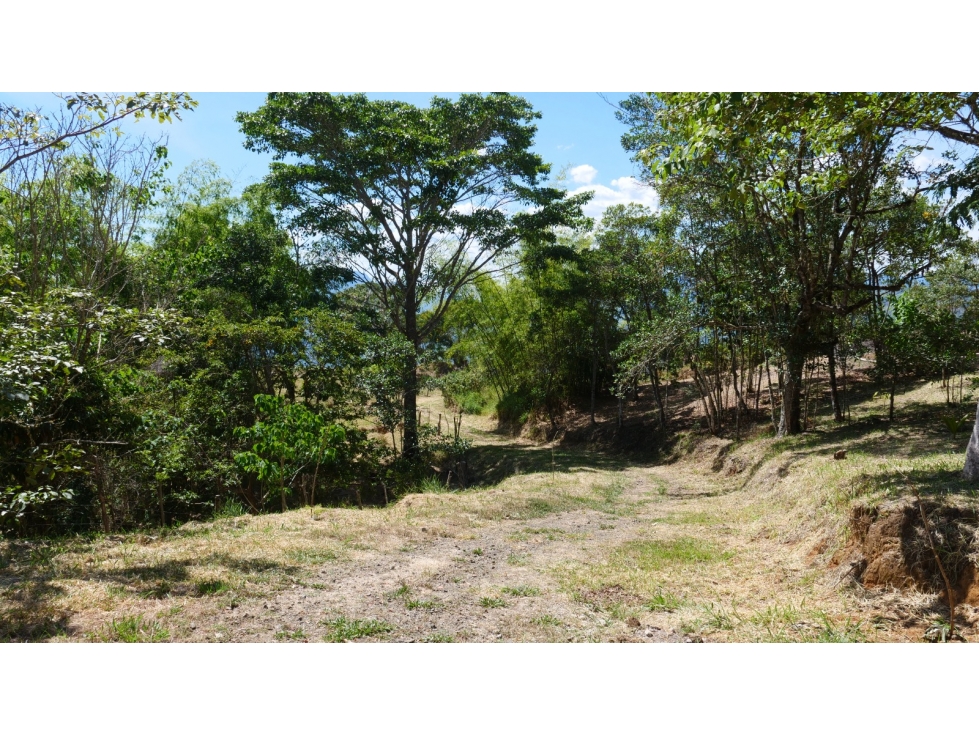 Venta finca en Santa Barbara, Antioquia — foto 6