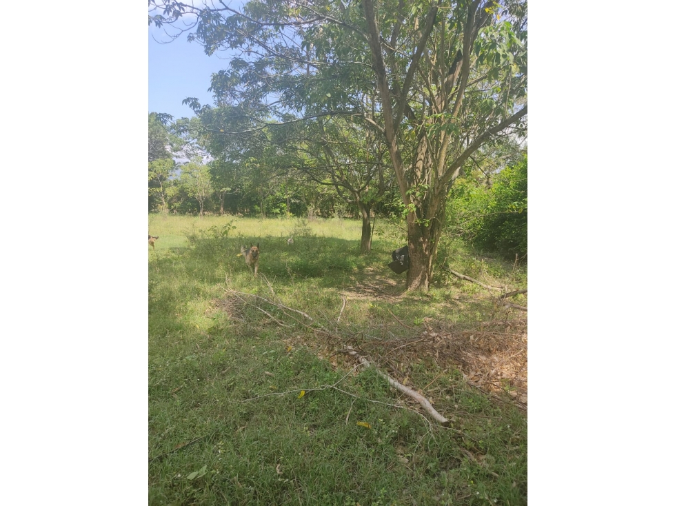 Venta Lotes Santa Fe de Antioquia - 2