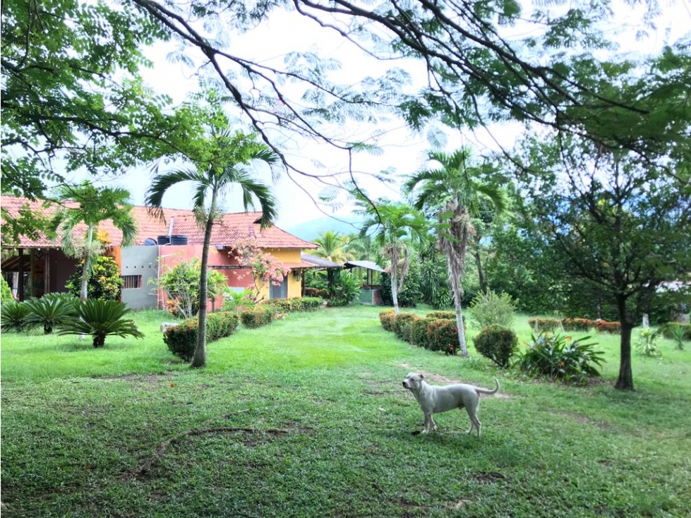 Alquiler Finca de Recreo, para 20 personas Sopetran Lago Grande - 4