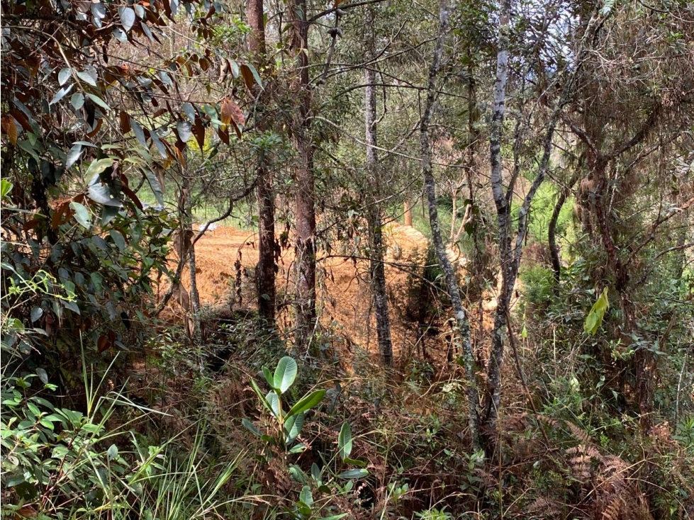 VENTA DE LOTE EN GUARNE SECTOR VEREDA PIEDRAS BLANCAS — foto 3