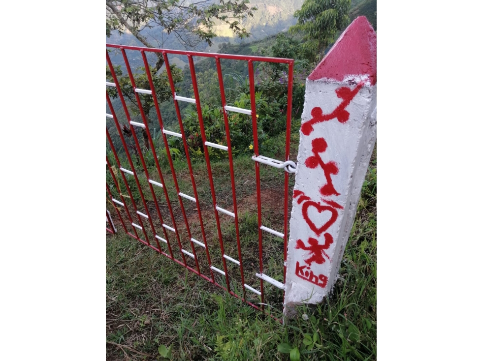 VENTA FINCA EN CONCORDIA, VEREDA BURGOS — foto 2