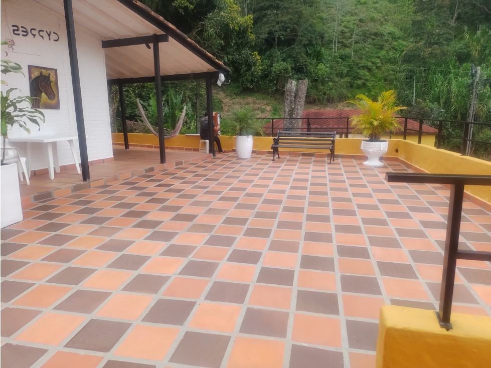 VENTA DE CASA FINCA EN FREDONIA - ANTIOQUIA - 3