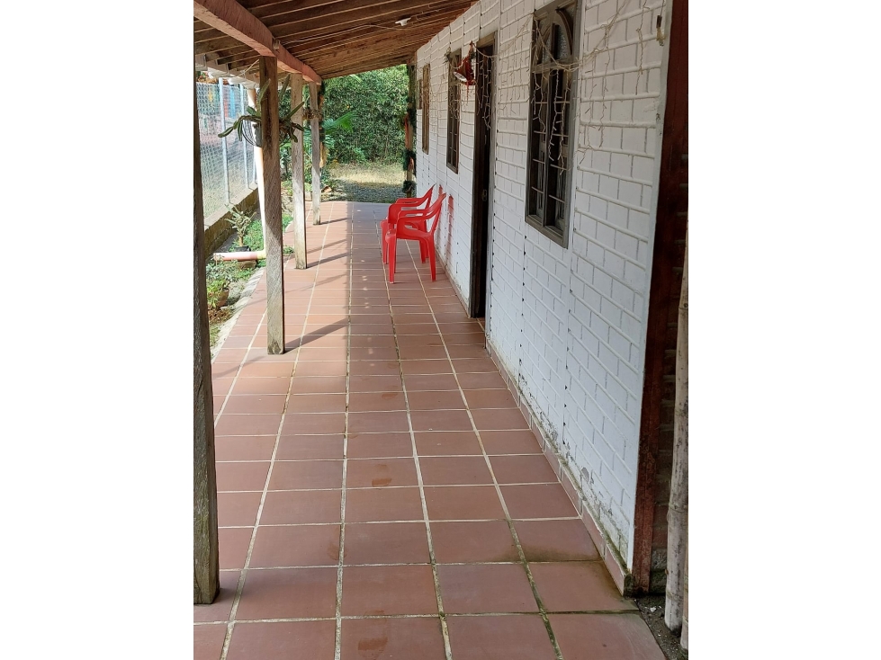 VENTA DE FINCA EN FREDONIA - VEREDA LA QUIEBRA - 4
