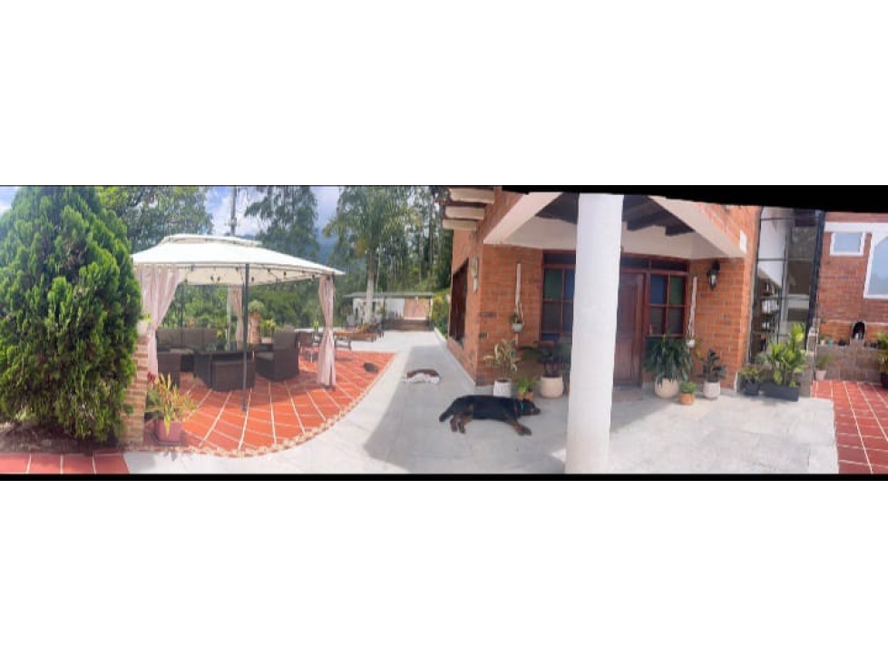 VENTA DE FINCA EN CALDAS SECTOR LA MIEL — foto 4