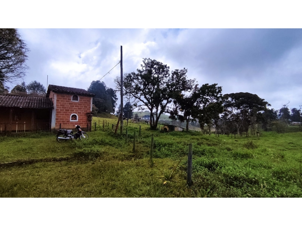 VENTA DE LOTE EN SAN FELIX - 1