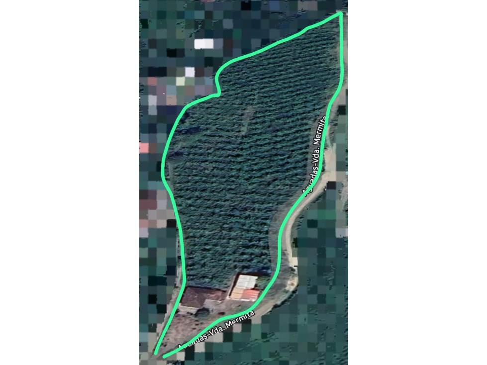 VENTA FINCA EN AGUADAS, CALDAS, VEREDA LA MERMITA - 6