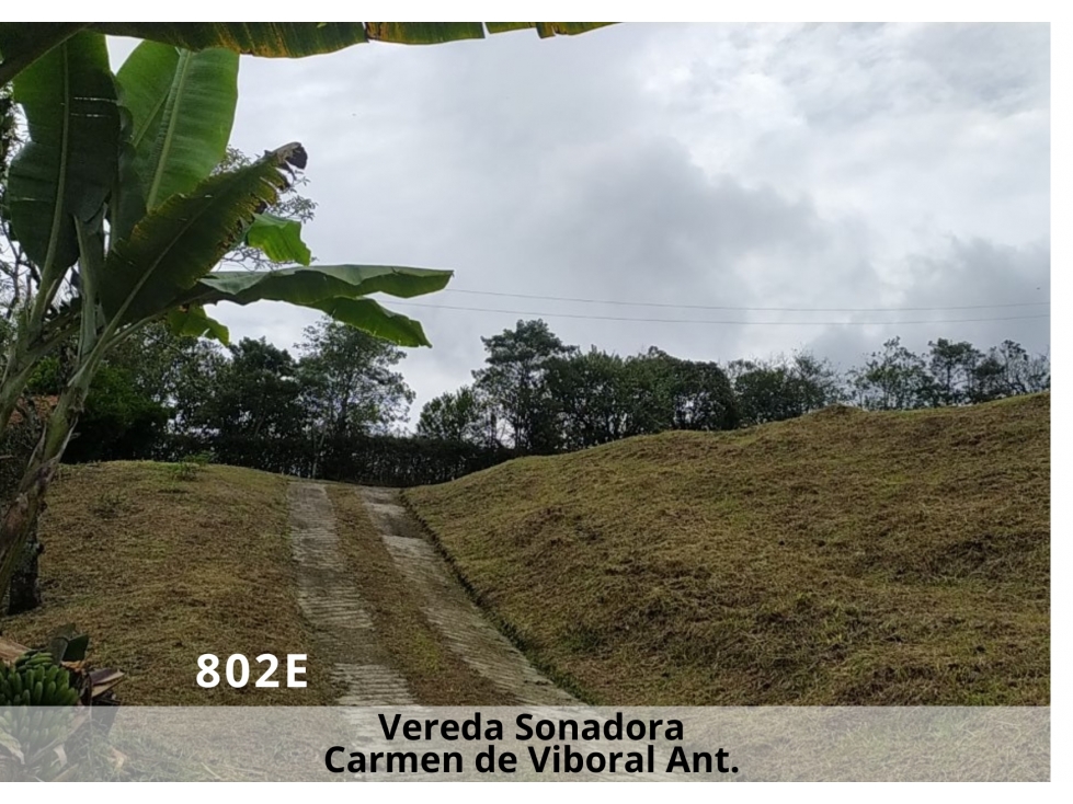 ¡Oportunidad Ãnica! Lote en El Carmen de Viboral con Dos Banqueos — foto 2