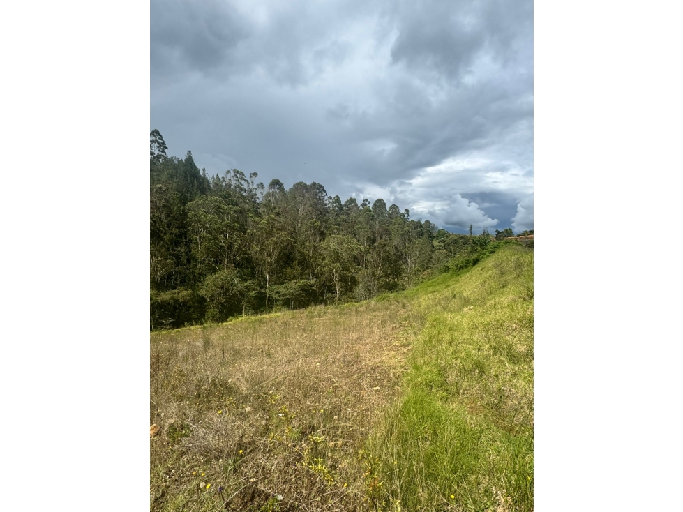 Venta de lote en el retiro 3000 mts, Via la ceja