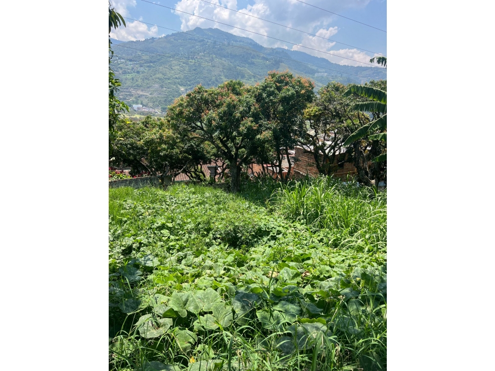 VENTA DE LOTE EN BELLO VEREDA GUASIMALITO NORTE AMÉRICA — foto 2