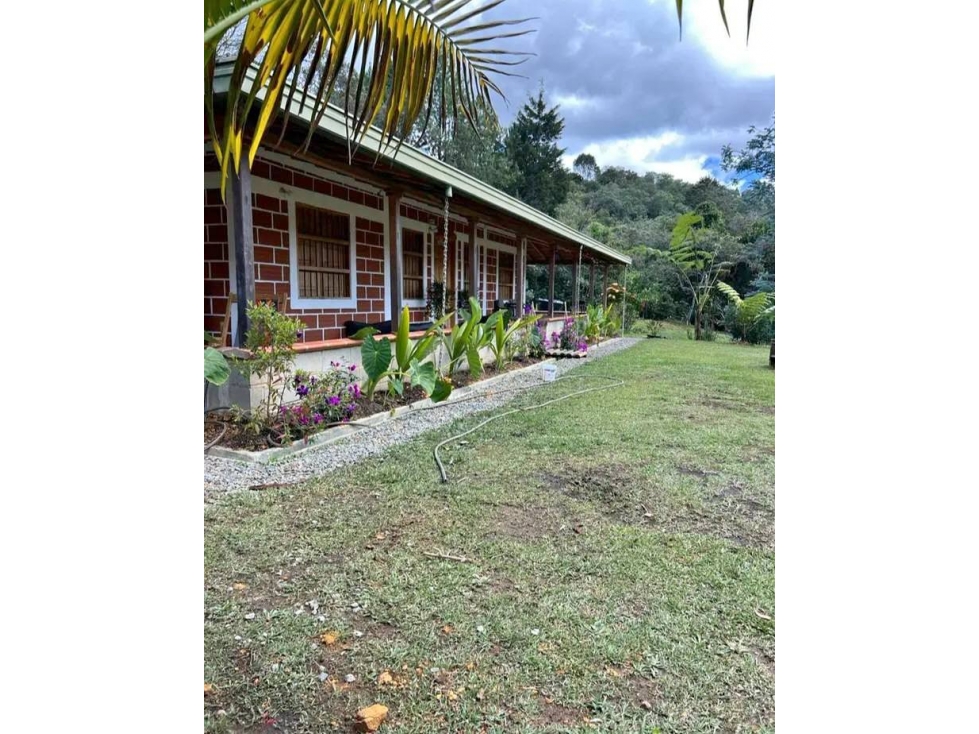 VENTA DE FINCA EN GUARNE SECTOR ALTO DE LA VIRGEN
