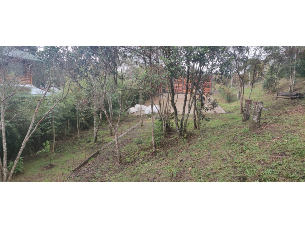 VENTA DE CABAÑA EN SANTA ELENA VEREDA BARRO BLANCO — foto 2