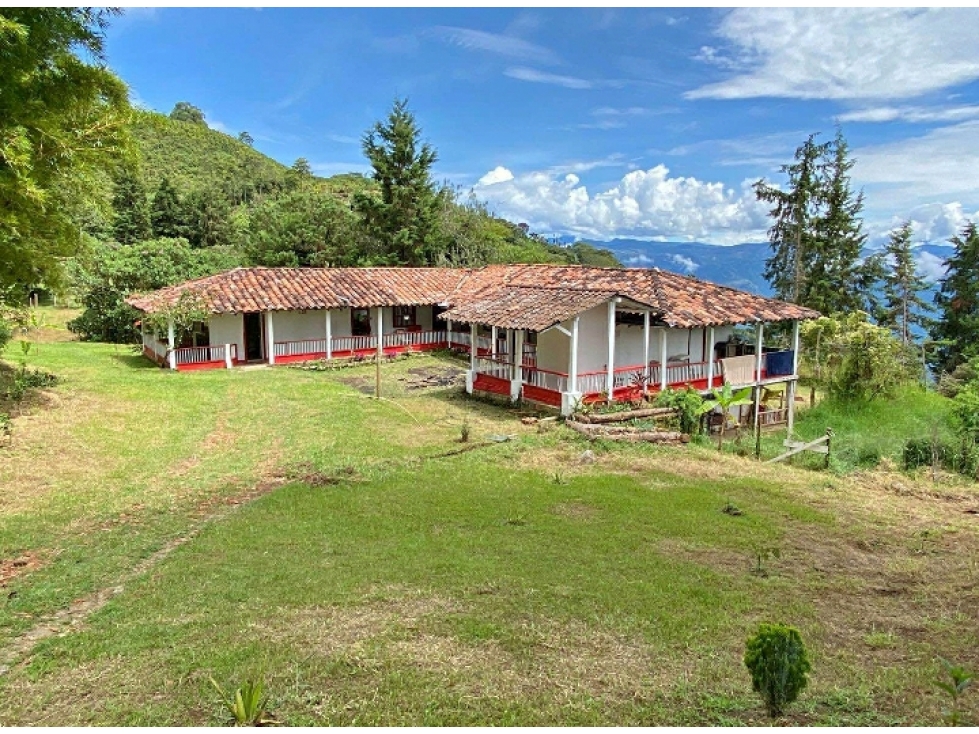 FINCA EN VENTA EN FREDONIA - VEREDA COMBIA - 1