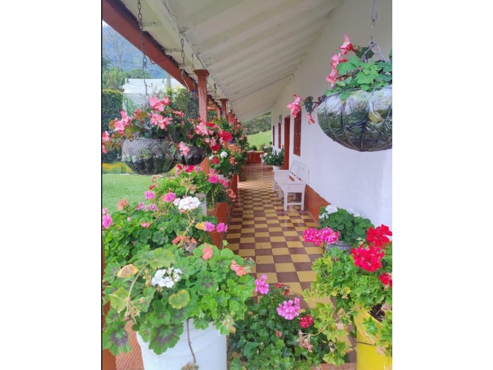 VENTA DE FINCA EN SAN ANTONIO DE PRADO VEREDA POTRERITO — foto 2