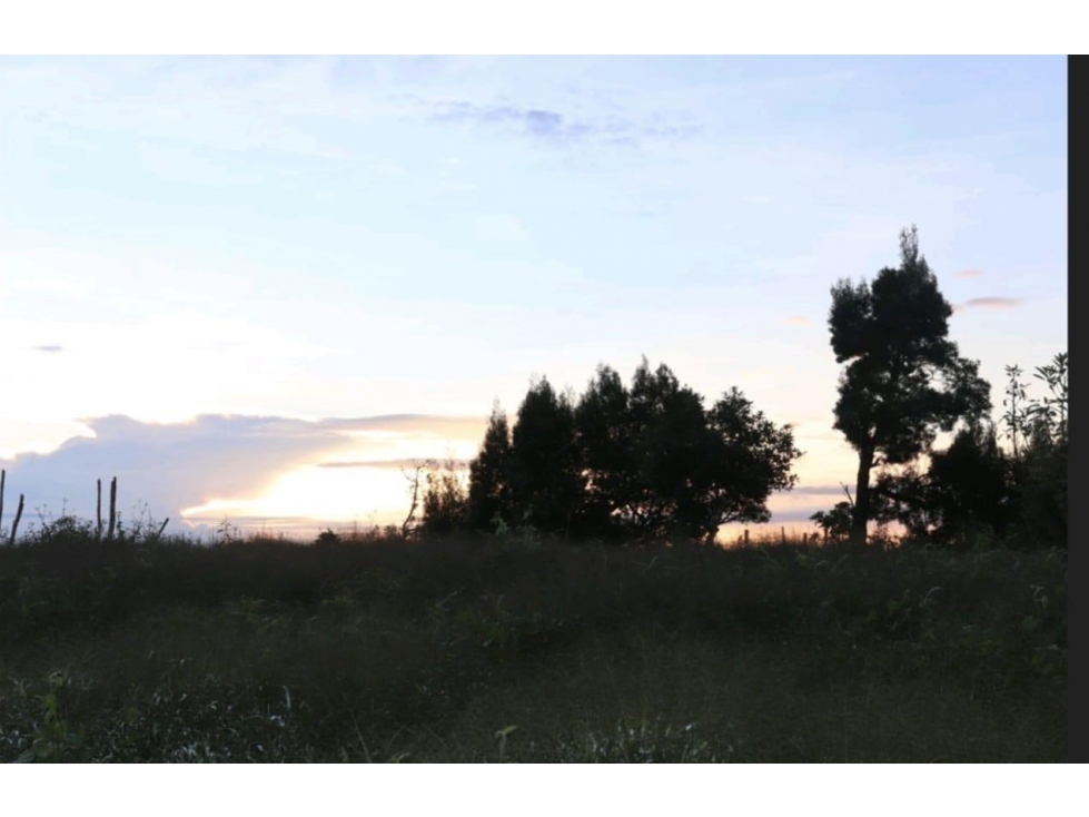 Venta Lote en San Vicente Ferrer