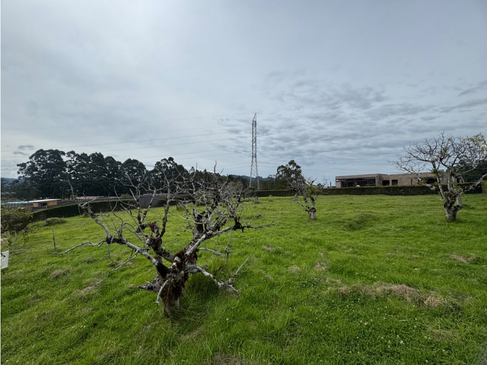Venta de Lote 2000 mts en la Ceja 100% plano, Vista al lago - 3