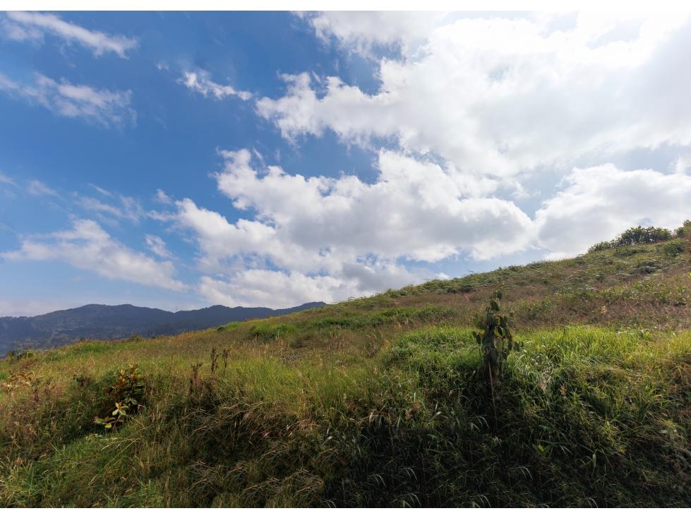 VENTA DE LOTE EN RESERVA SILVESTRE LA CEJA - 3