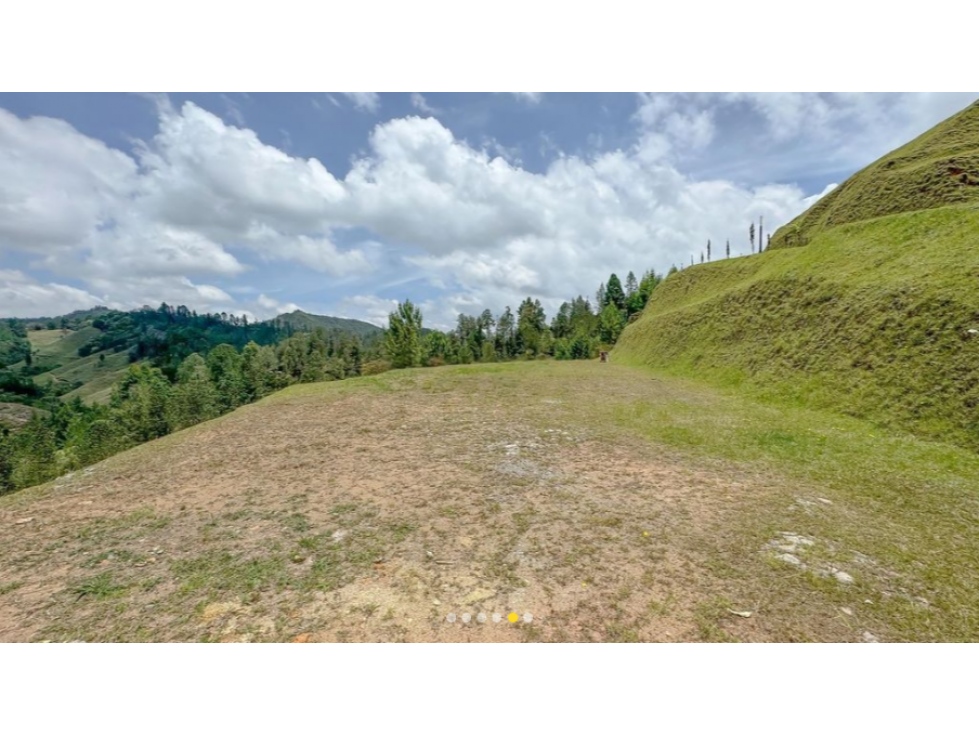 VENTA DE LOTE CON LAS MEJORES VISTAS_LEJOS DEL NIDO — foto 6