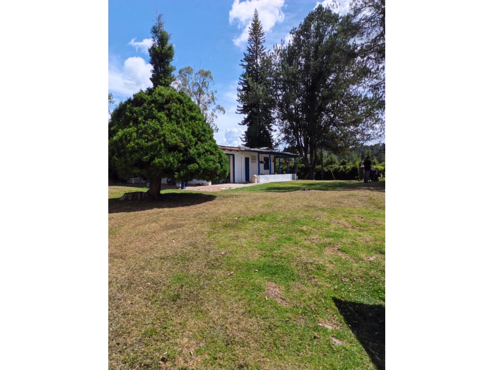 VENTA HERMOSA FINCA EN GUARNE - 6