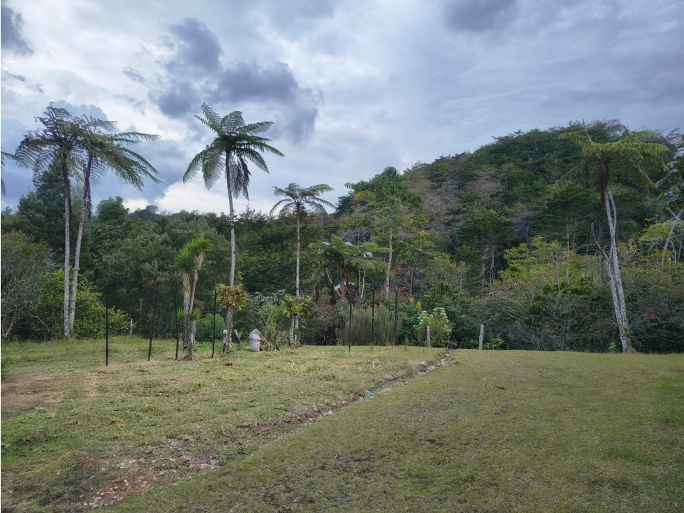 VENTA FINCA DE 27.500 M2 EN PARCELACIÓN PUENTE PELAEZ EL RETIRO - 4