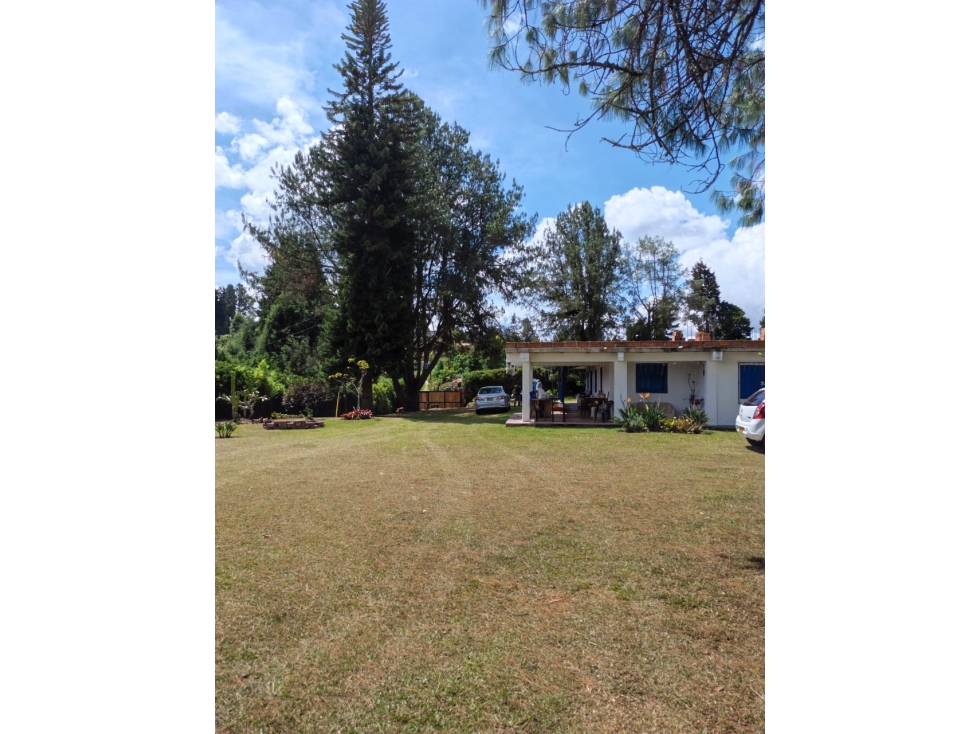 VENTA HERMOSA FINCA EN GUARNE - 5
