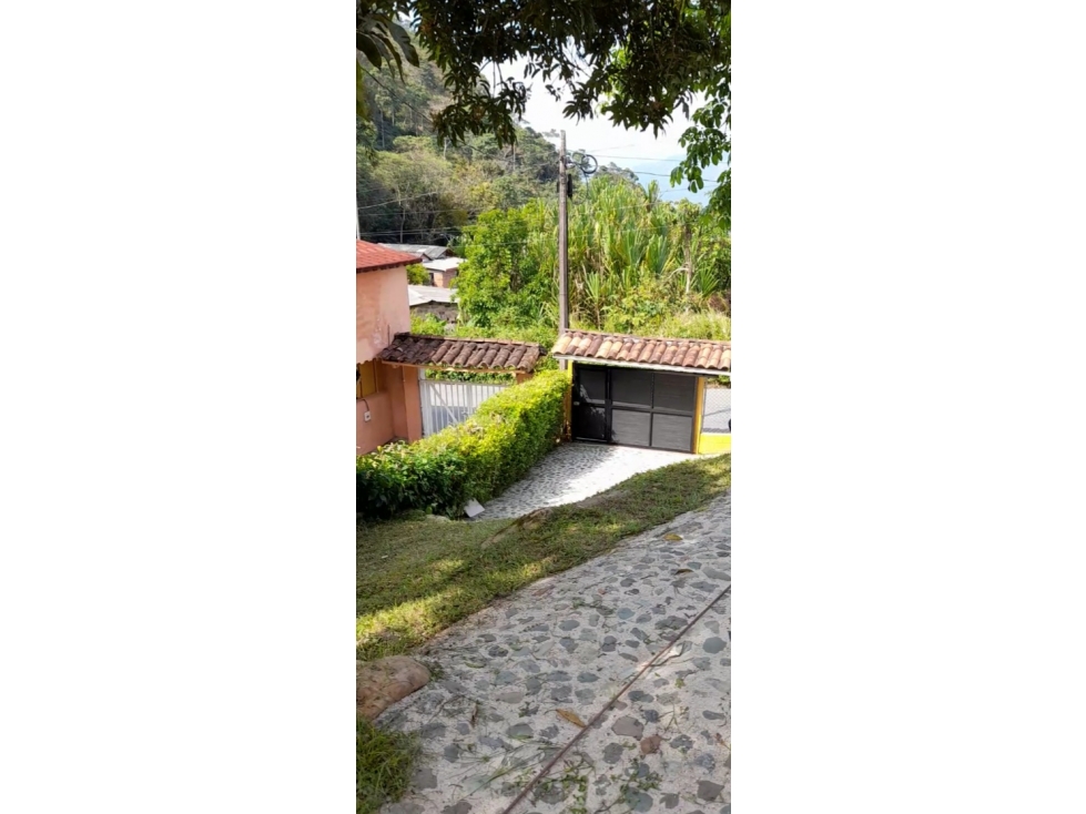 VENTA DE CASA FINCA EN FREDONIA - ANTIOQUIA - 4