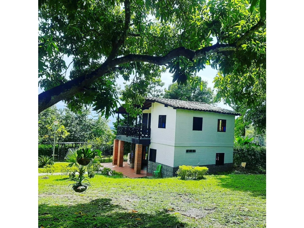 VENTA DE FINCA EN SOPETRAN - ANTIOQUIA — foto 6