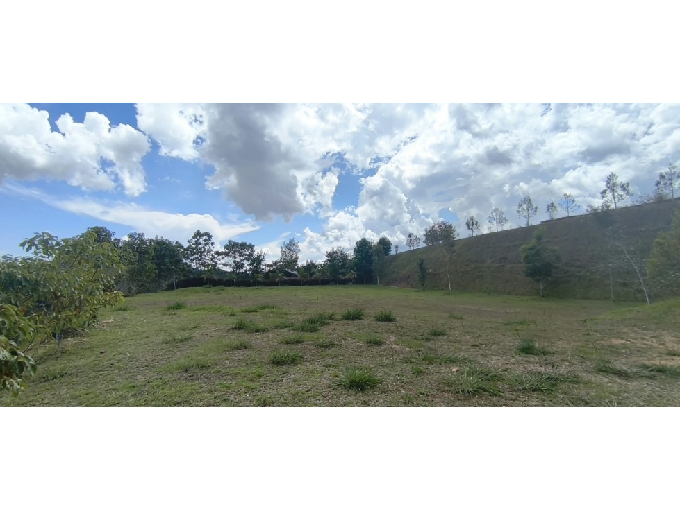 VENTA DE MAGNÍFICO LOTE_LEJOS DEL NIDO - 4