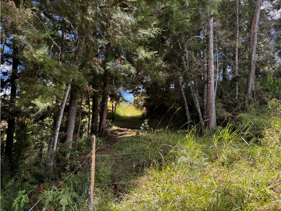 Lote en Venta Vereda Mampuesto / Sector Lomalinda Rionegro — foto 2