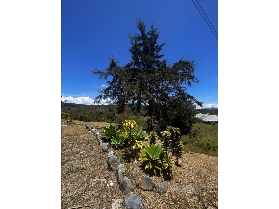 HERMOSA FINCA EN GUARNE