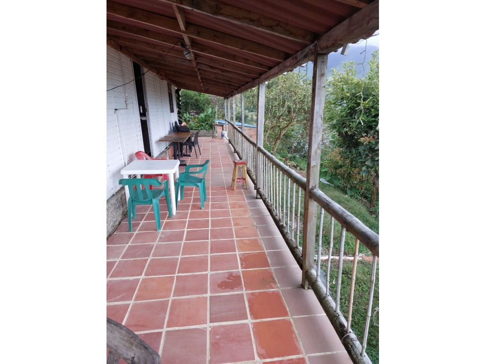 VENTA DE FINCA EN FREDONIA - VEREDA LA QUIEBRA - 2