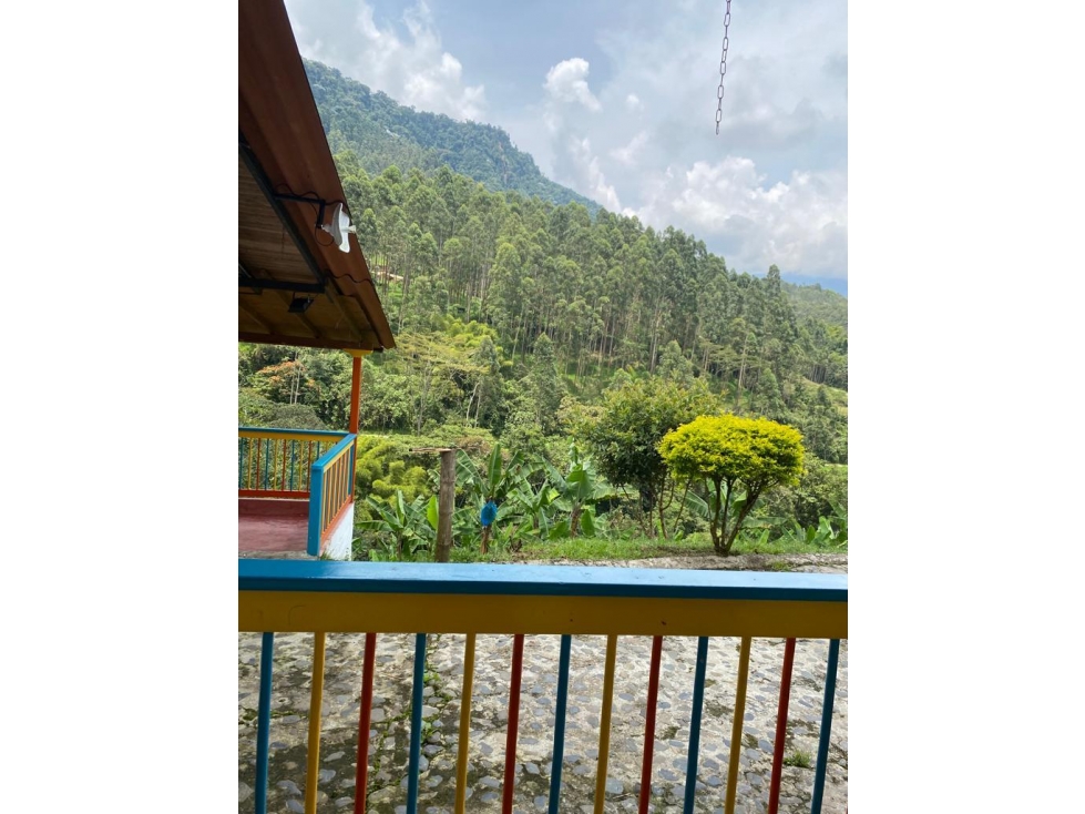 SE VENDE FINCA VEREDA LA SALADA EN JARDÍN ANTIOQUIA 24.200 MTS — foto 6