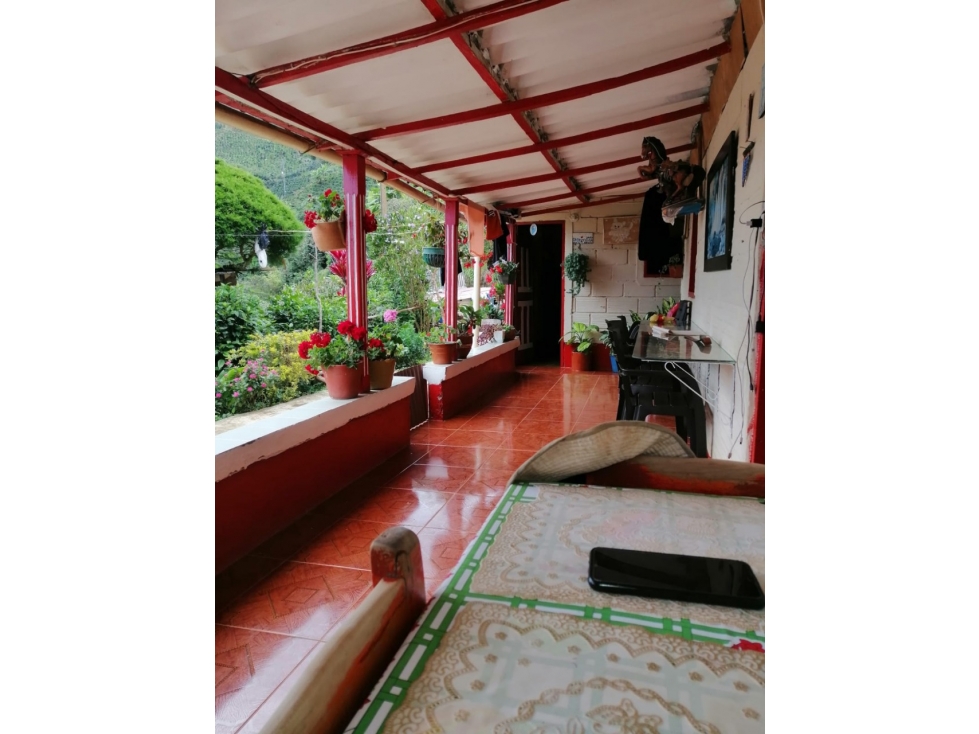 VENTA FINCA EN CONCORDIA, VEREDA BURGOS