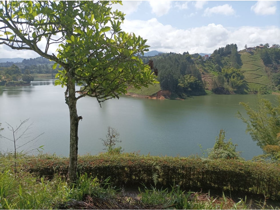 VENTA DE LOTE EN EL PEÑOL VEREDA LA CRISTALINA - 2