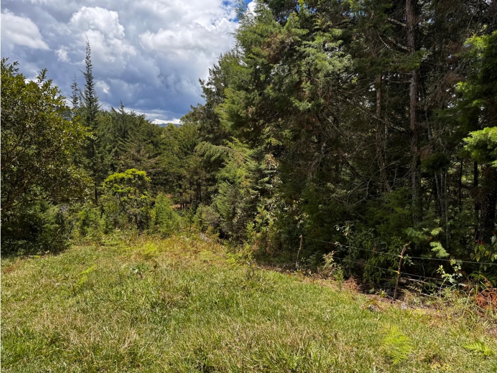 Lote en Venta Vereda Mampuesto / Sector Lomalinda Rionegro — foto 3
