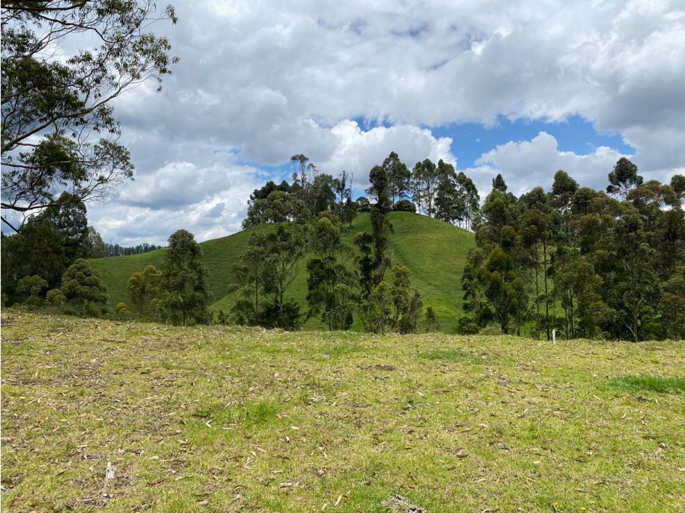 VENTA EL MEJOR LOTE EN VENTA EN PANTANILLO, EL RETIRO — foto 2