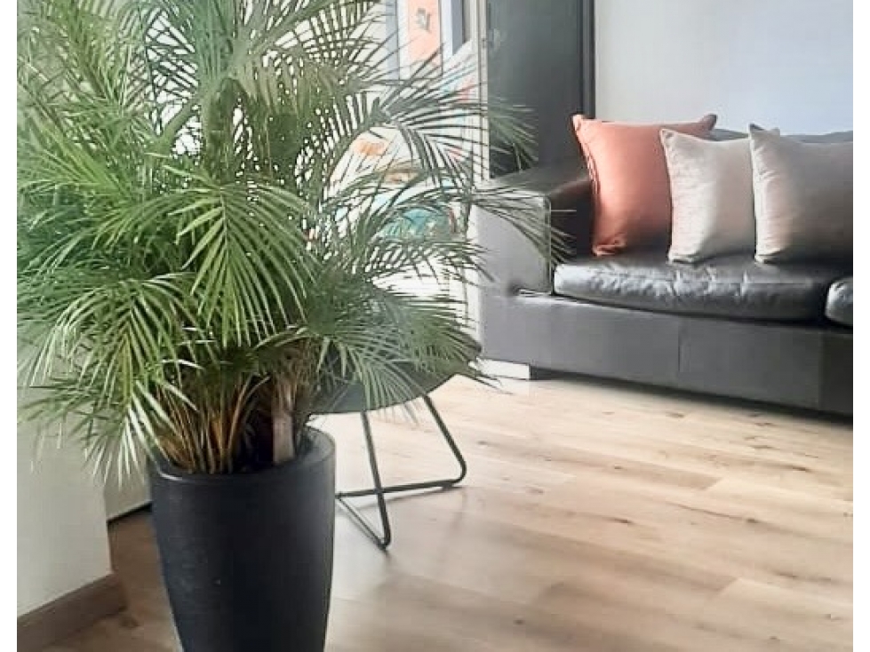 Vendo apartamento La Abadia Remodelado, 2 habitaciones — foto 4