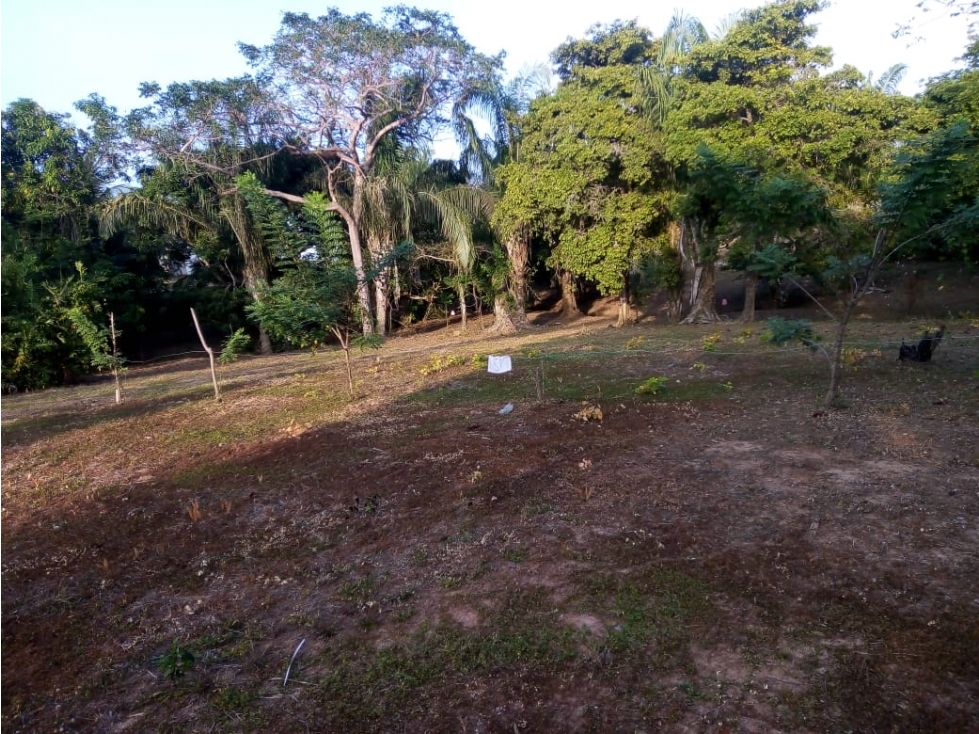 Venta de Lotes en Coveñas a 4 Cuadras del Mar por Excelente Precio - 2