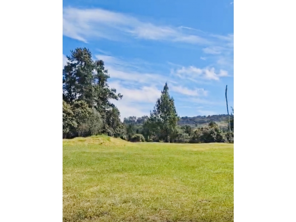 LOTE PLANO EN EL ALTO DE PALMAS ANTES DEL PEAJE — foto 2